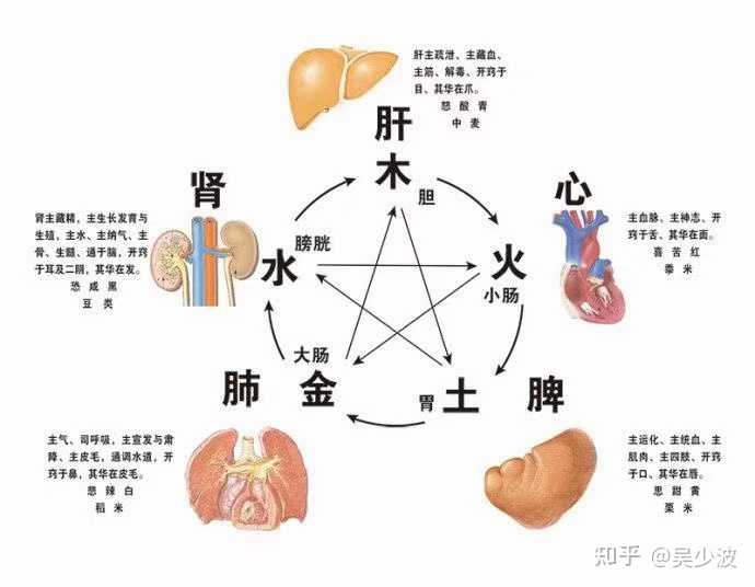 吴少波 的想法: 【五行养生汇61小贴士】 五脏喜欢