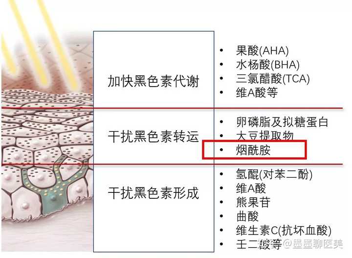 近来含烟酰胺的护肤品很火,烟酰胺对皮肤有什么作用呢