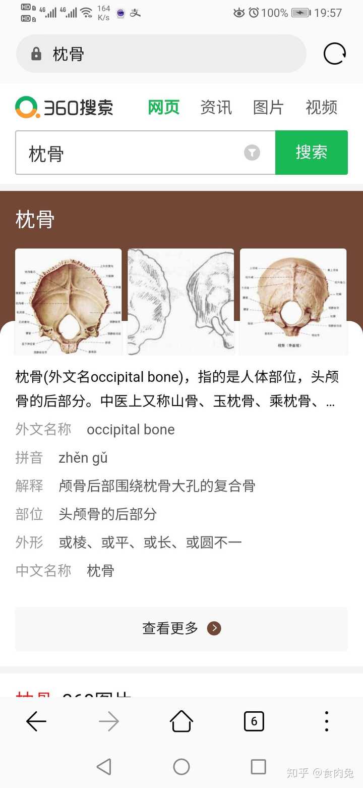 枕骨在哪有哪位大佬说一下嘛