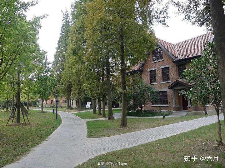 上海理工大学的校园环境如何?