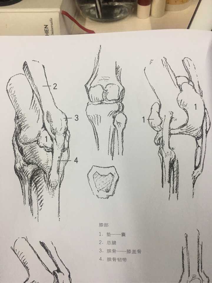 当你看仔细伯里曼上面