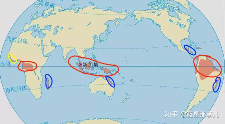 北美洲东南部有热带雨林气候吗?