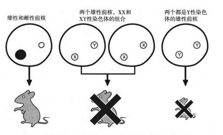 你们对同性恋怎么看?