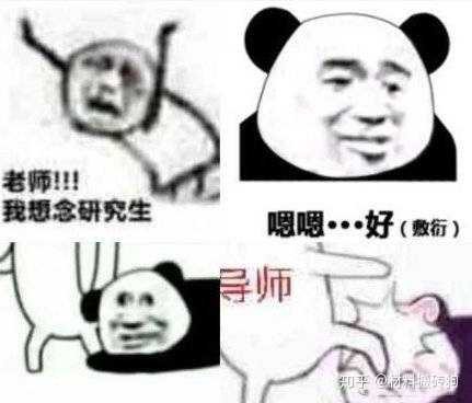 有哪些关于考研的表情包?