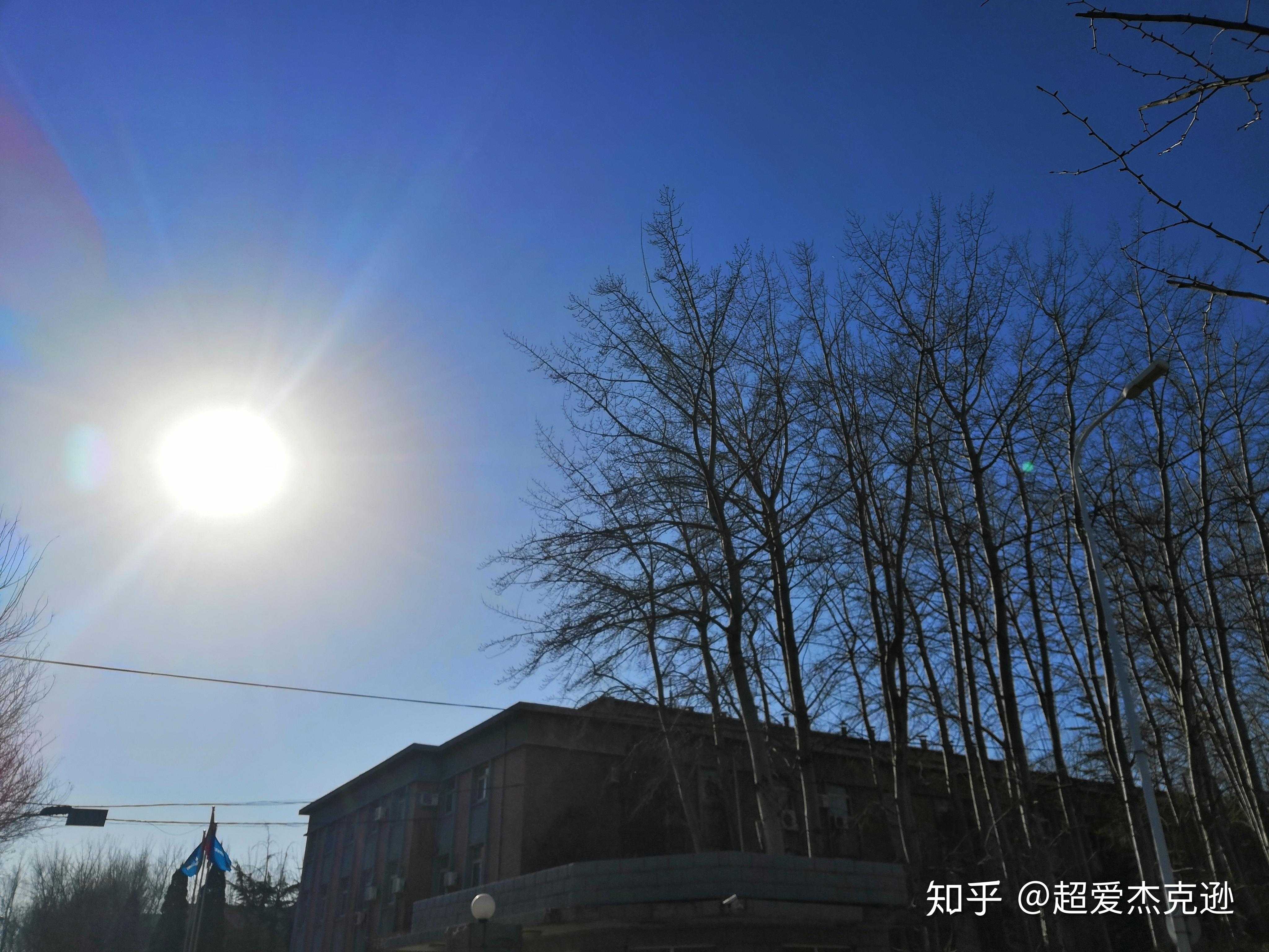 今天的大太阳还真给力,不过还是很冷的