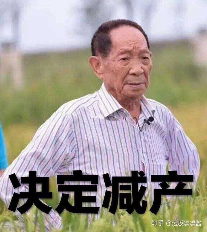 袁隆平:我这辈子最大的错误,就是让你们吃的太饱了