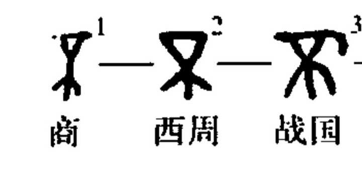 对于现今甲骨文的研究和考证,如何能够确定记录在甲骨