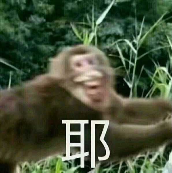 有哪些表情扭曲的表情包?