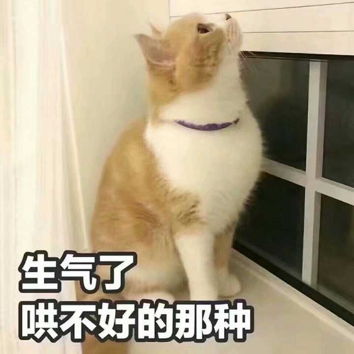 有哪些可爱的表情包?