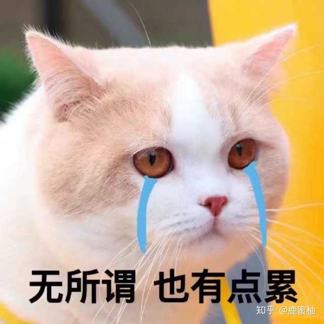 真的太难了