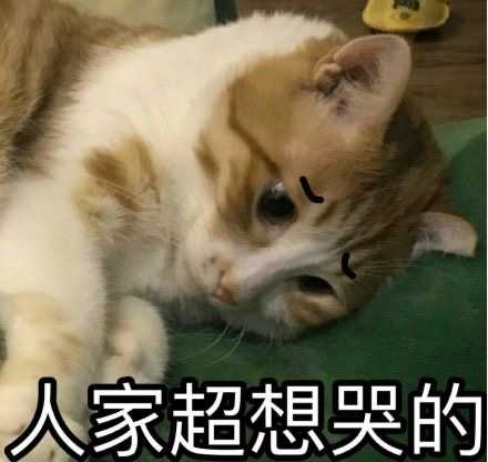 有没有哭泣猫的表情包?