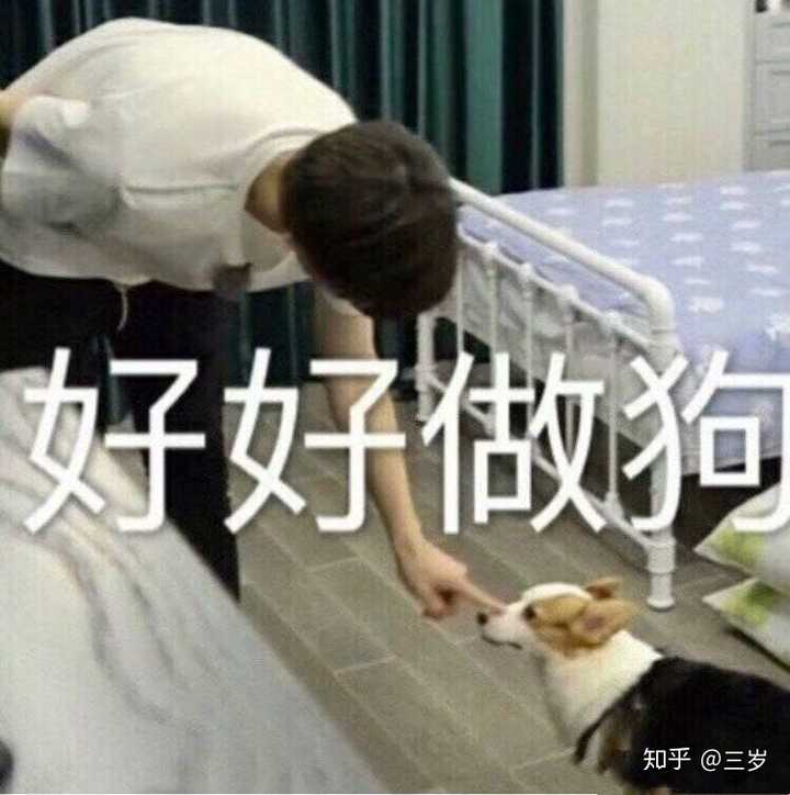 有什么幸灾乐祸的表情包?