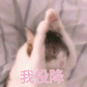 你有哪些让你一秒变开心的表情包?
