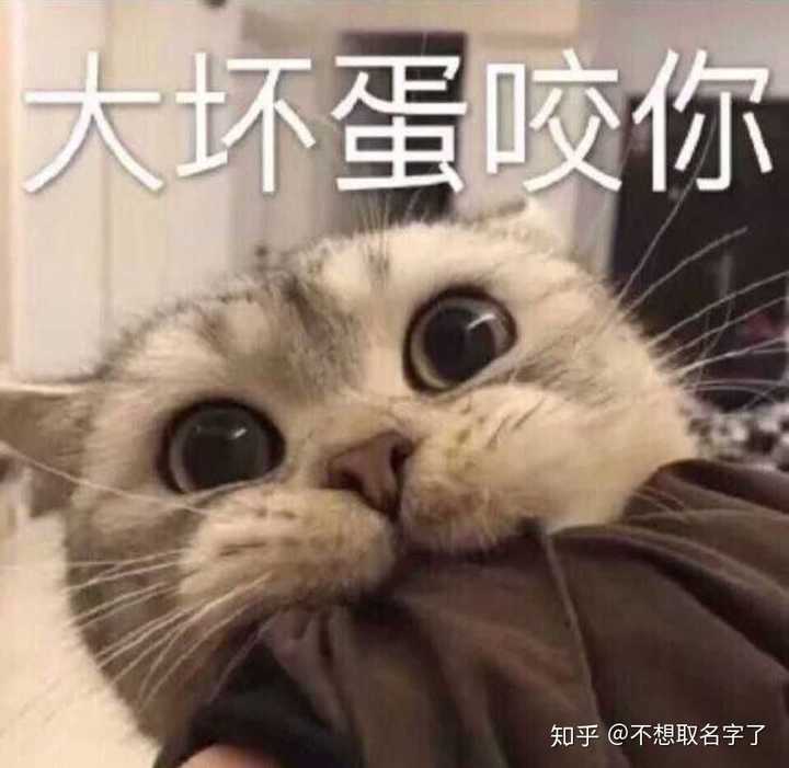 你生平用过最沙雕的表情包是什么?