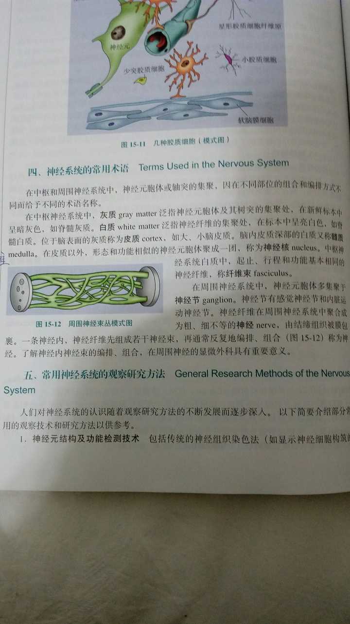 白质名词解释 知乎