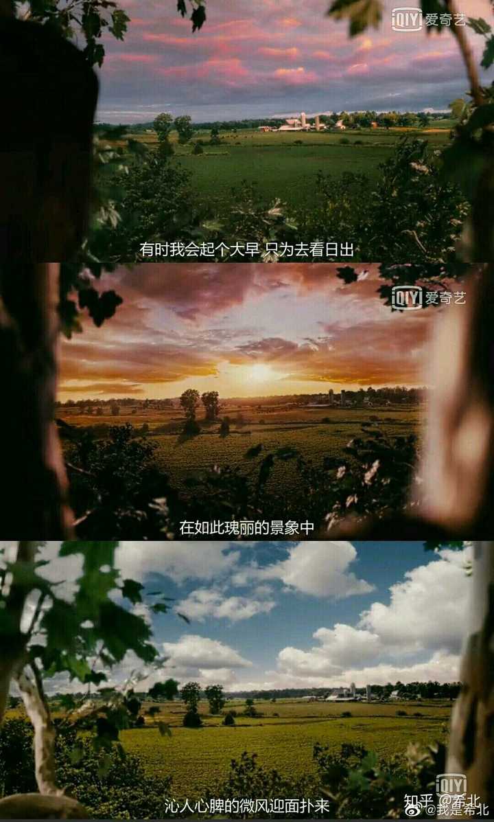 《怦然心动》