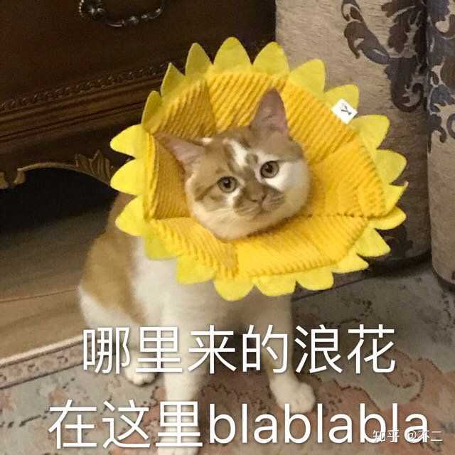 真服了你在这儿发问题是想听大家安慰你说你没错吗