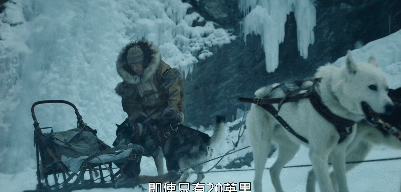 如何评价迪士尼电影《多哥》 《togo》?