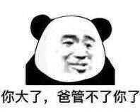 有没有一个万能表情包可以回复所有问题?