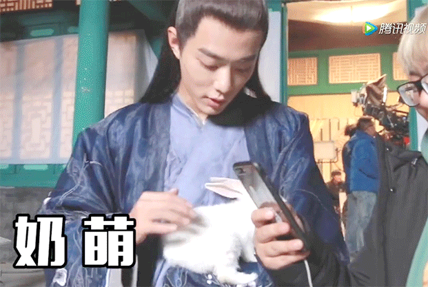 为什么肖战会被造谣爱猫人设?