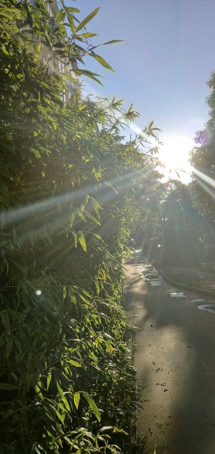 高三毕业的暑假,雨后的太阳很亮很亮,那时候的我充满了活力,对未来