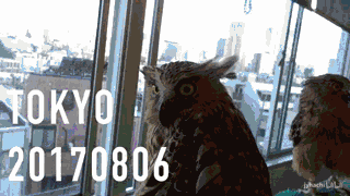 第一次制作vlog有什么注意事项嘛?