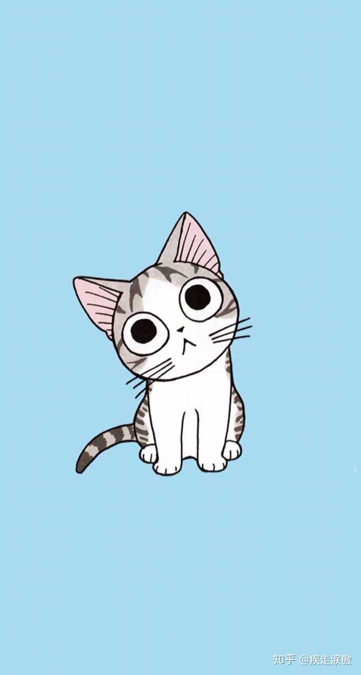 中华田园猫.颜色很好看,干净.虽然品种不是起司猫,但颜色四层相识.
