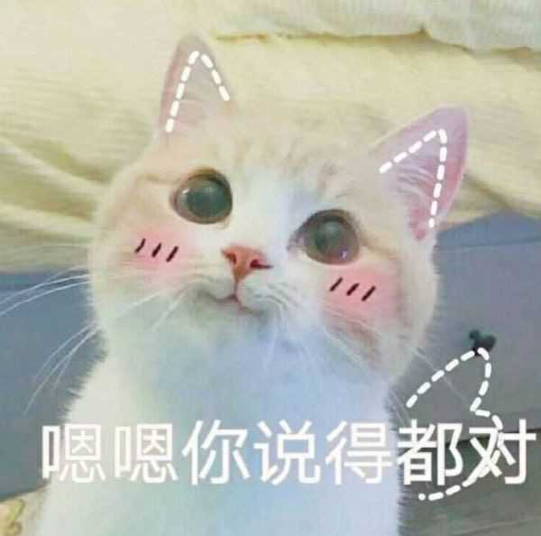 有没有适合性格柔弱的蓝孩子使用的表情包?