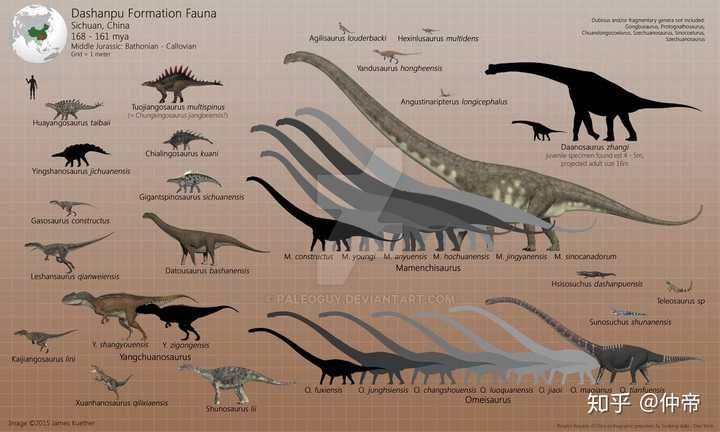 求恐龙大小比例图