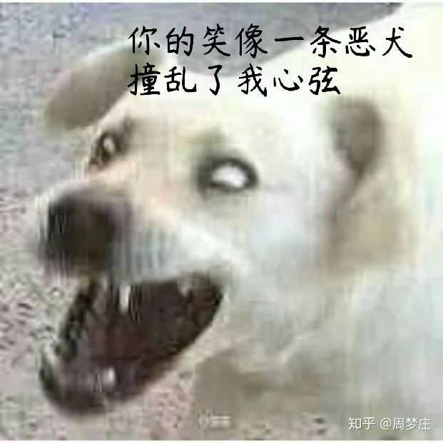 如何评价独立音乐人花粥遭大学老师批评《盗将行》的歌词「狗屁不通」