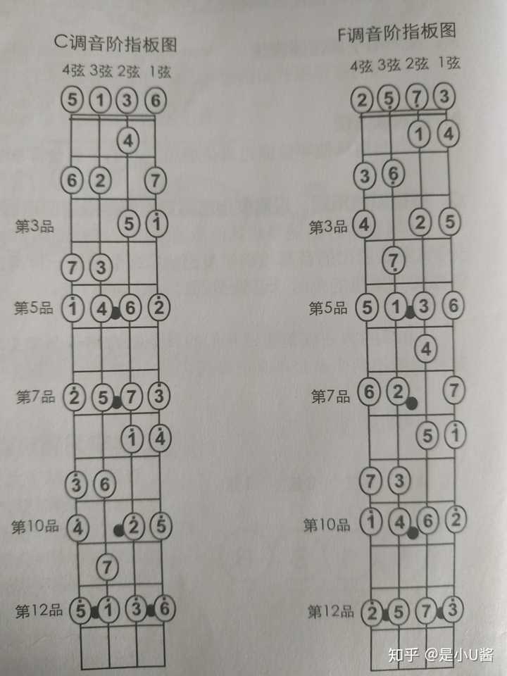 2弦3品); 根据下图两种音阶指板图就是很快的将f调和c调进行转换了