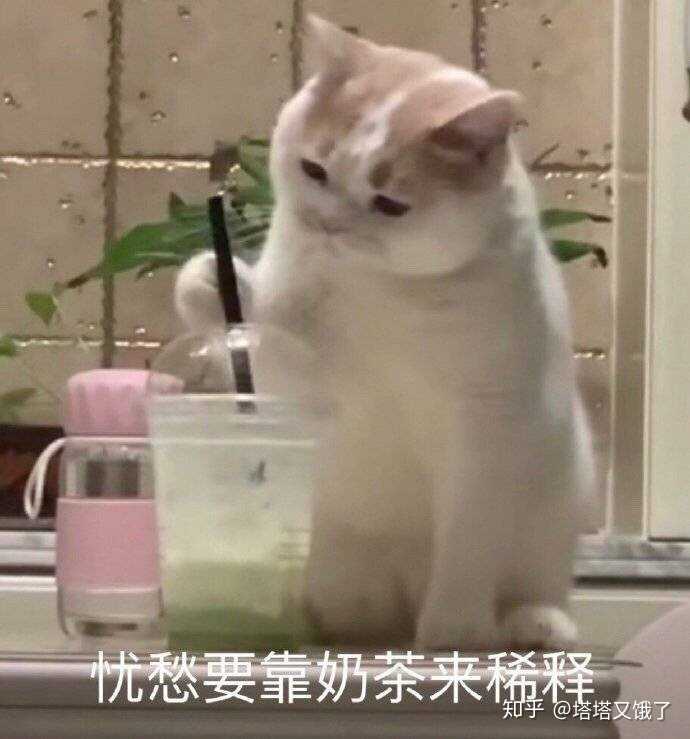 有哪些让人笑到肚子疼的搞笑图片?