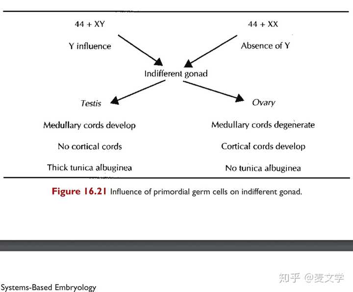英语中有哪些意思相近且不易区分的词?