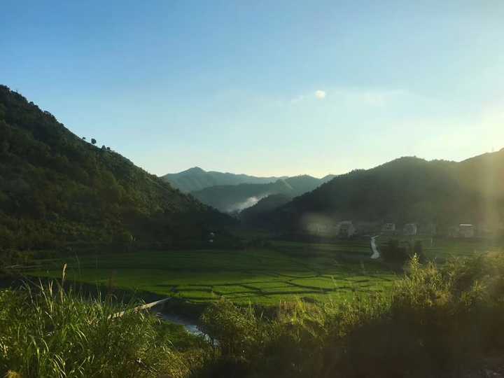 《旅かえる》(旅行青蛙)为什么会火?