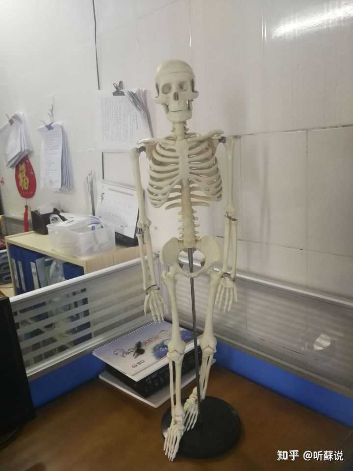 医学有趣吗?