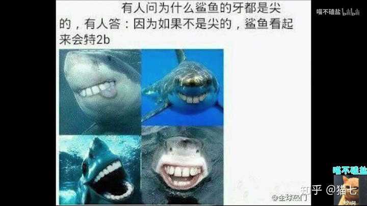 你看过最搞笑奇葩的图片或者截图是什么?