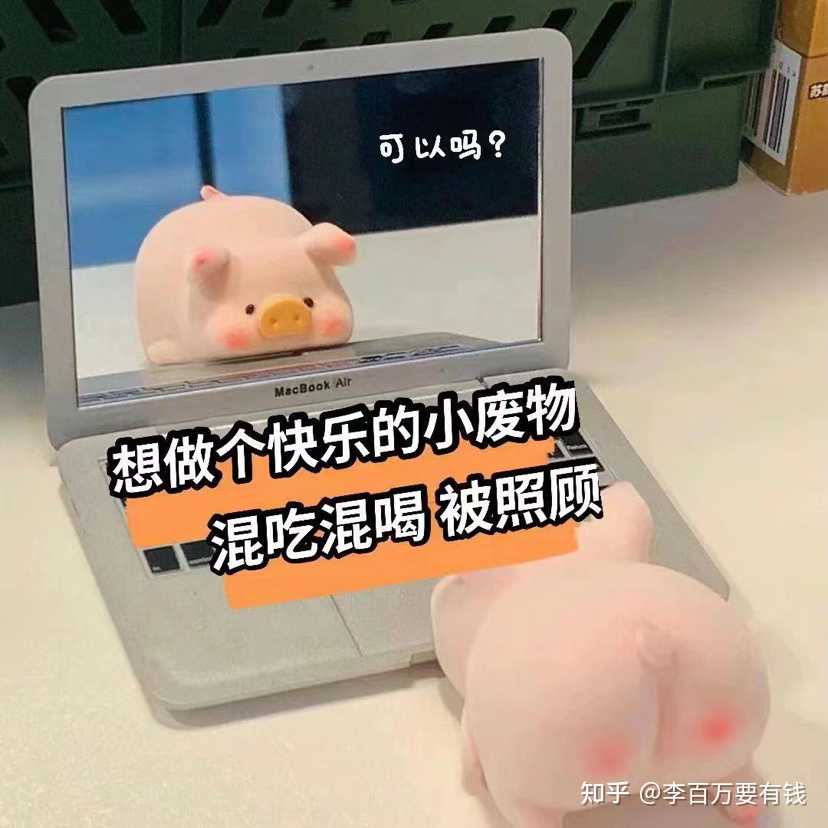 李百万要有钱 的想法: 33 "想做个快乐的小废物,混