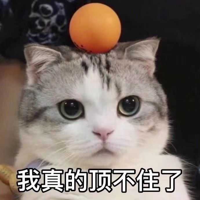 太早睡导致大半夜醒来是一种怎样的体会?