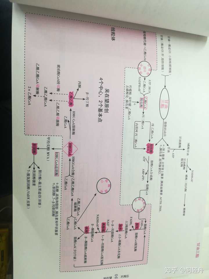 吴在望西医综合思维导图怎么样?