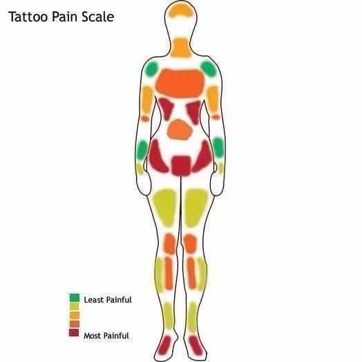 不知道题主有没有看过纹身疼痛分布图 网上有很多版本 随便贴两个