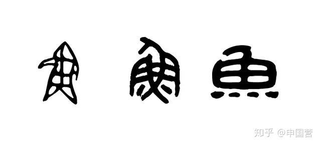 汉字中的象形字指事字会意字怎么区分