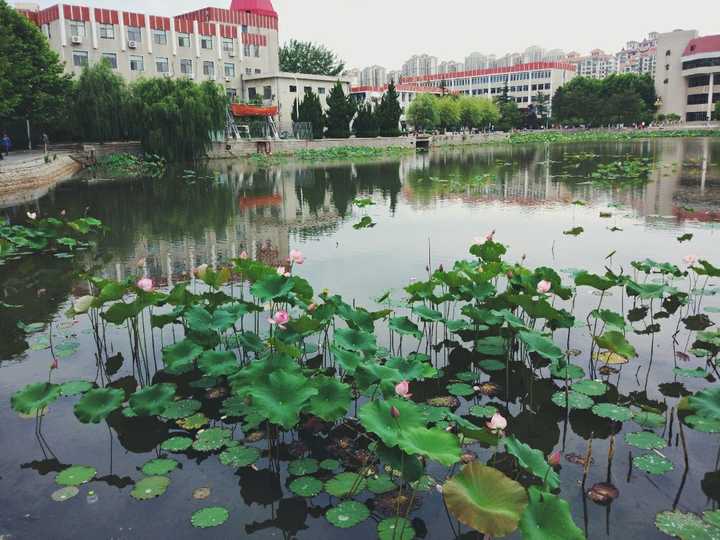 在烟台大学就读是怎样一番体验?