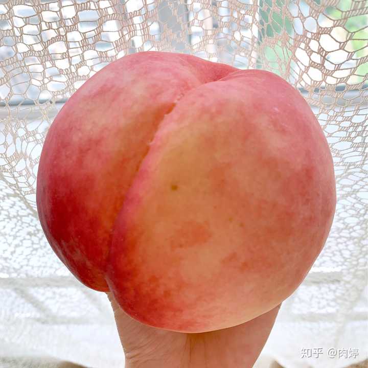 有什么适合在淘宝买的好吃水果?