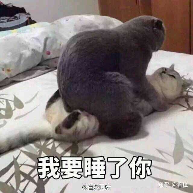 情侣间有哪些污污的表情包?