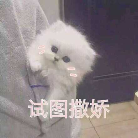 有哪些哄男朋友的可爱的表情包?