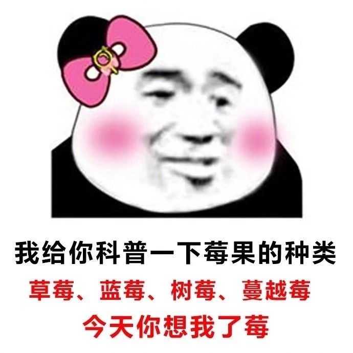 土味情话,熊猫头我的最爱