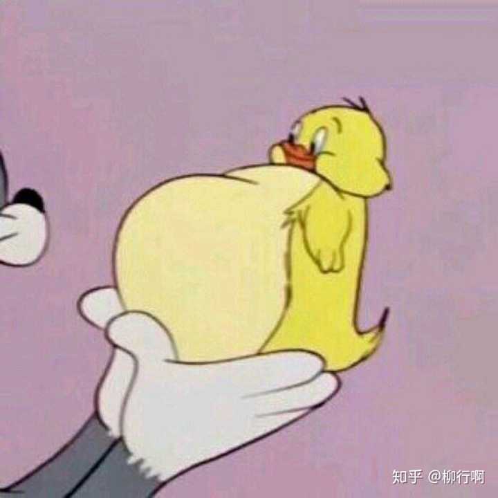 有什么有趣的情侣头像推荐吗?