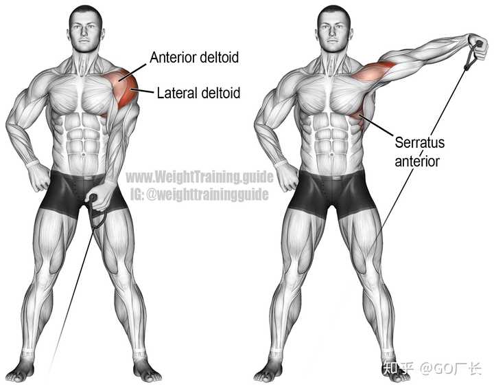 男生肩膀窄,怎样练能有效的把肩膀练宽?