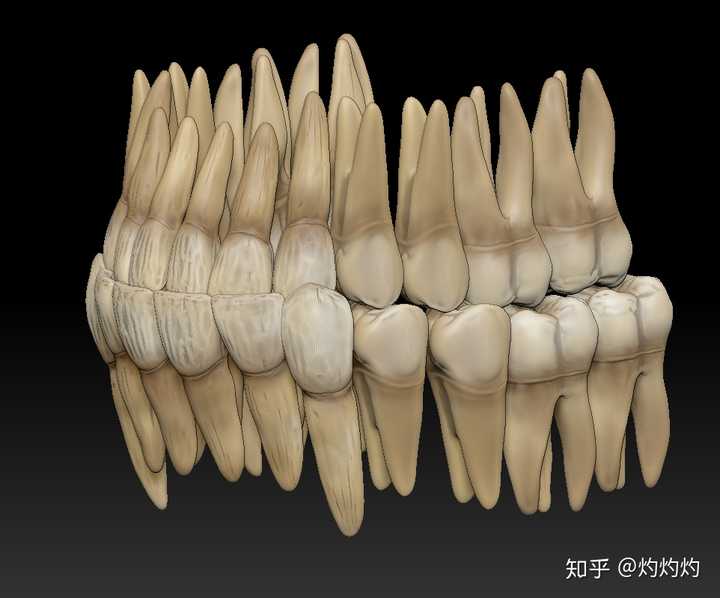 有没有可能做一个头骨建模系统,用3d打印技术模拟制作