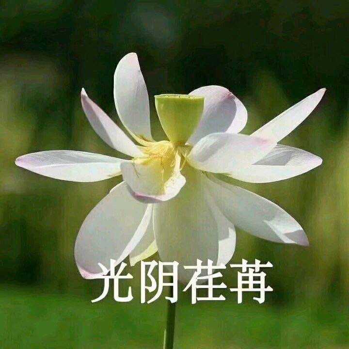 光阴荏苒